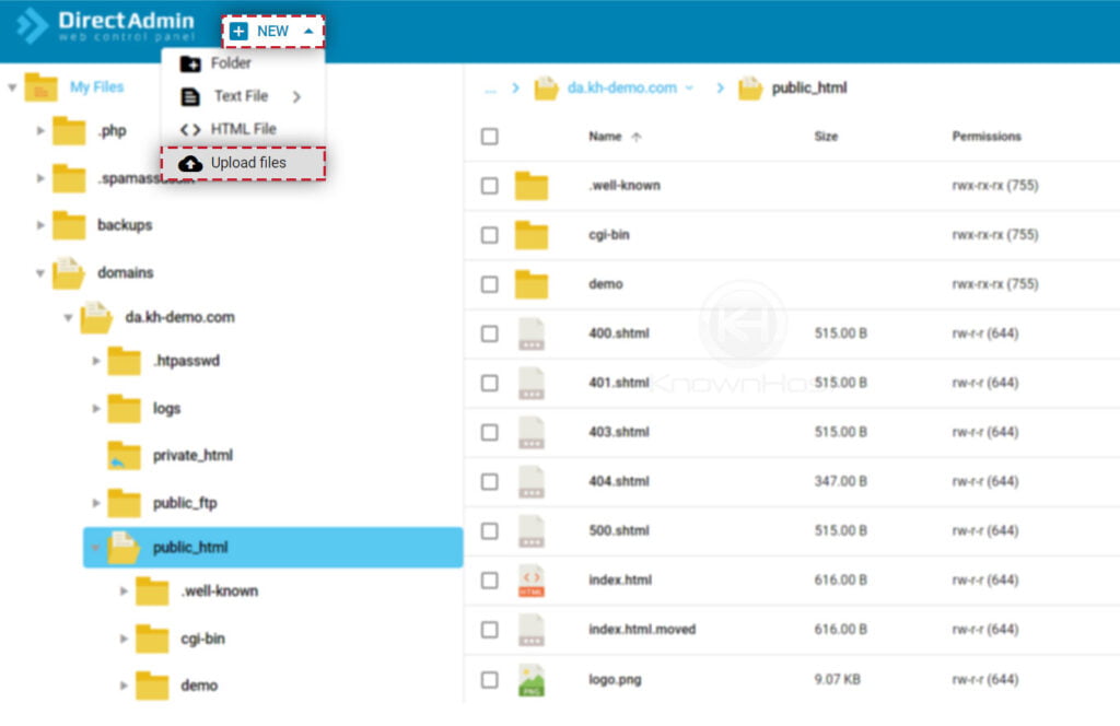 How to Upload To Your Site in Directadmin?